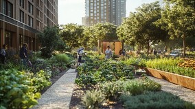 Благоустройство по-соседски: как жители и УК создали зелёные дворы