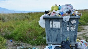 Две трети сортируемых отходов в России отправляются обратно на полигоны