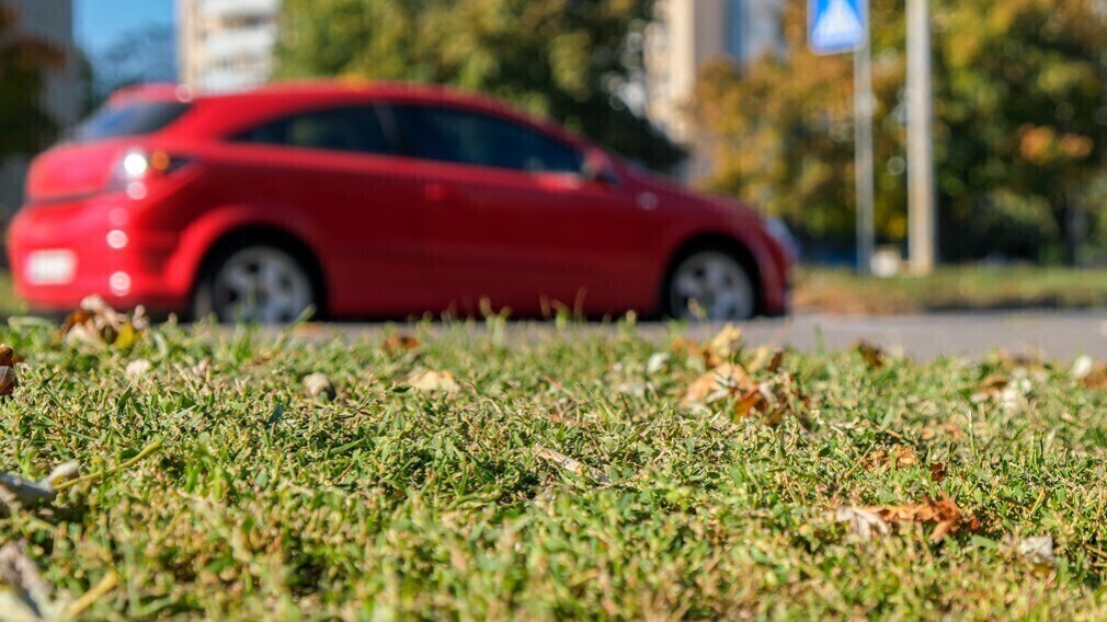 Может ли УО оштрафовать водителя за парковку на газоне во дворе МКД