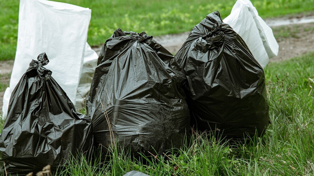 Обращение с ТКО в 2025 году: Правила, онлайн-учёт и старые свалки