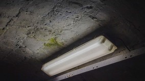Прокуратура Воркуты запретила УО хранить ртутные лампы в подвале