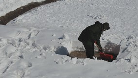 В Сургуте сорвался эксперимент УО по запуску снегоплавильных машин