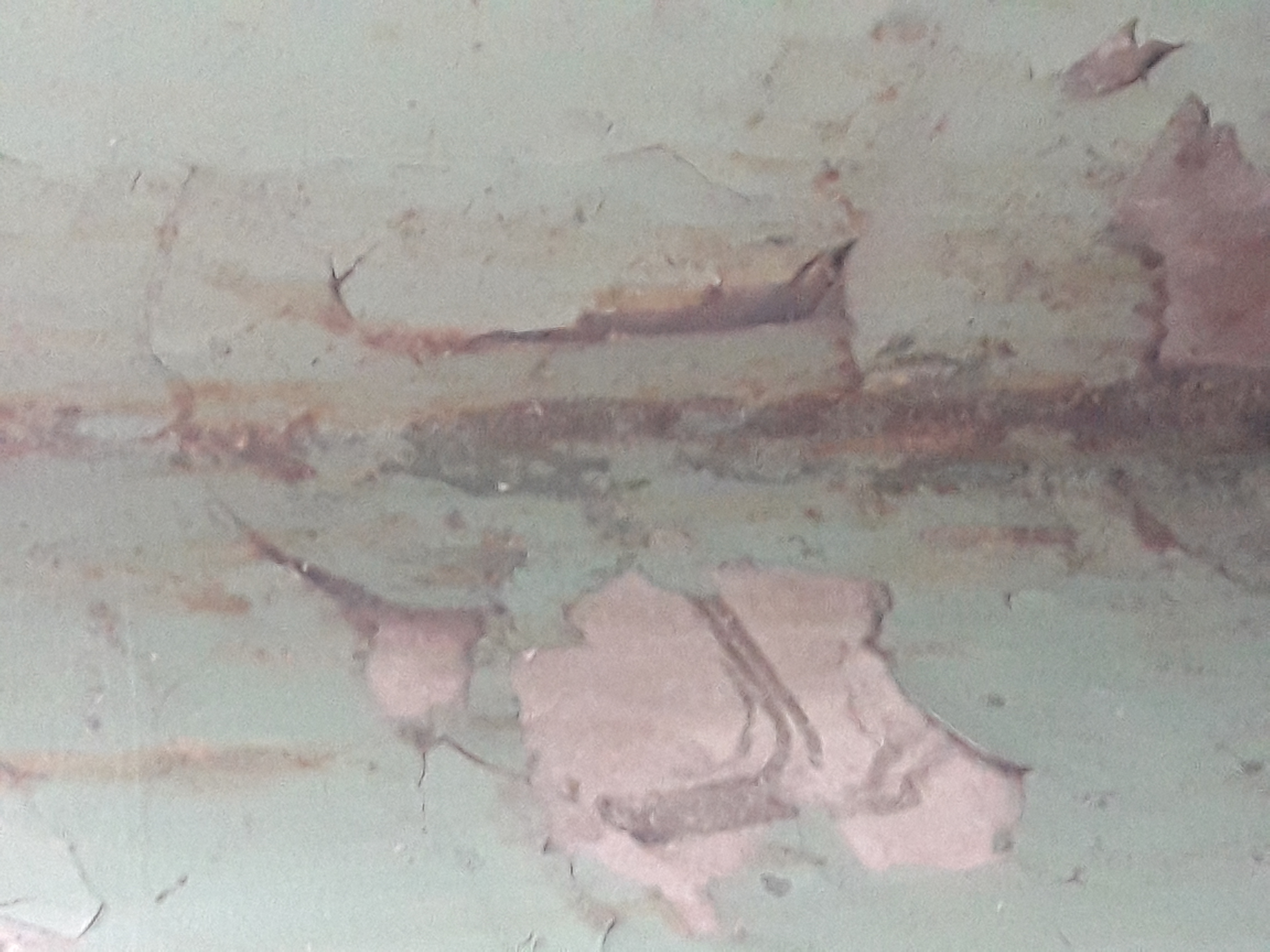 20251024_152813.jpg