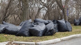 Должен ли регоператор вывезти мусор после санитарной уборки двора МКД