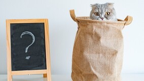 Годовой отчёт УО и ТСЖ по-новому: разбор от Ассоциации «Р1»