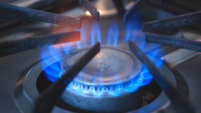 Общественники предлагают сделать владельцами ВКГО поставщиков газа
