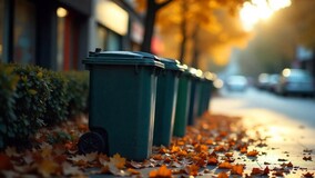 Какие данные вносятся в реестр мест сбора ТКО и кто за него отвечает