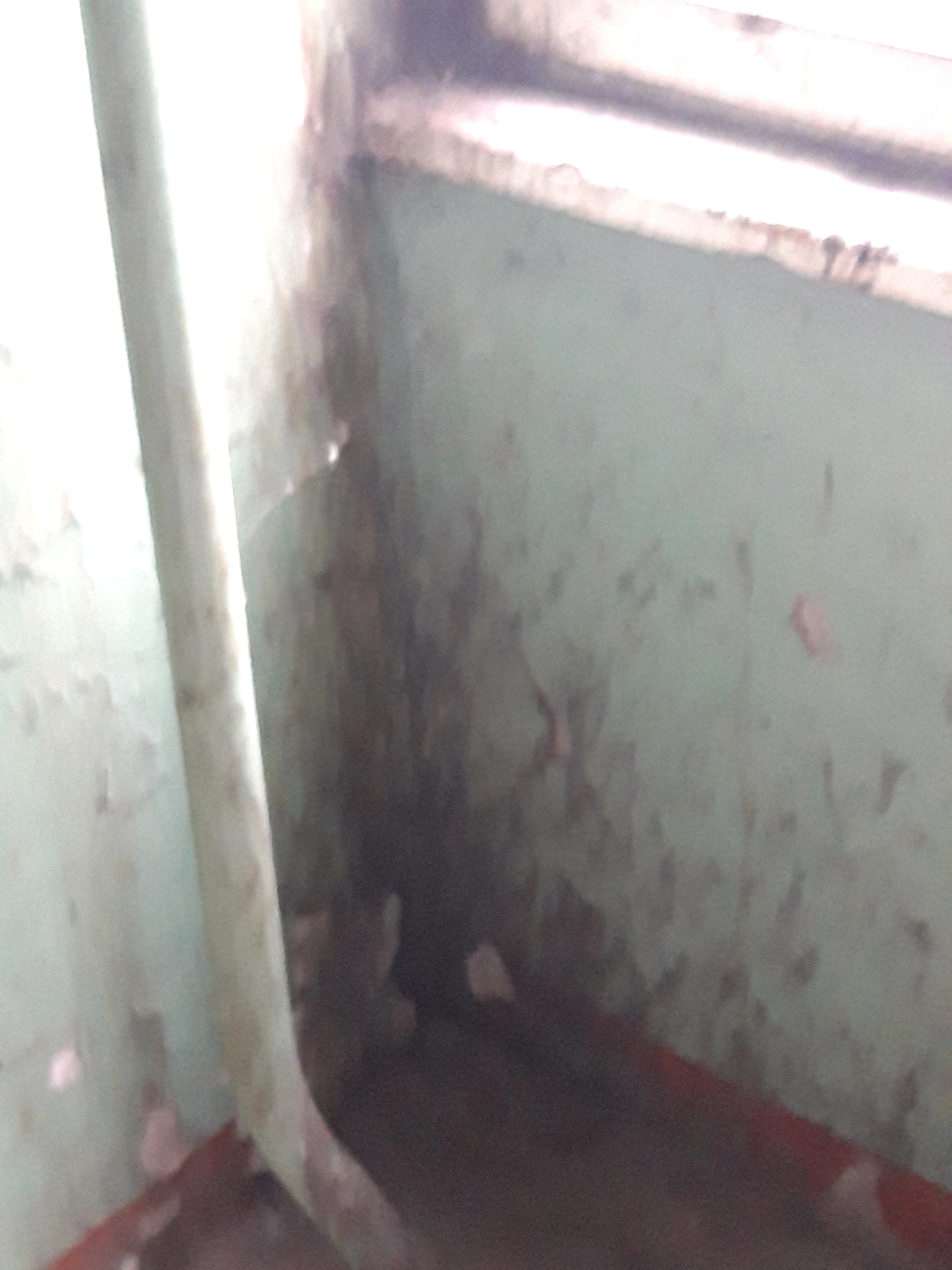 20251208_170002.jpg