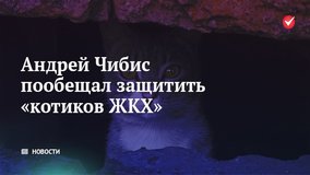 Андрей Чибис пообещал защитить «котиков ЖКХ»